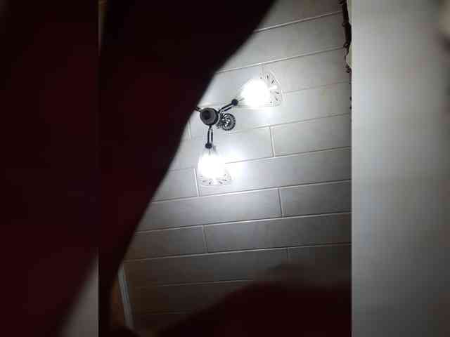 VoLaNdh
