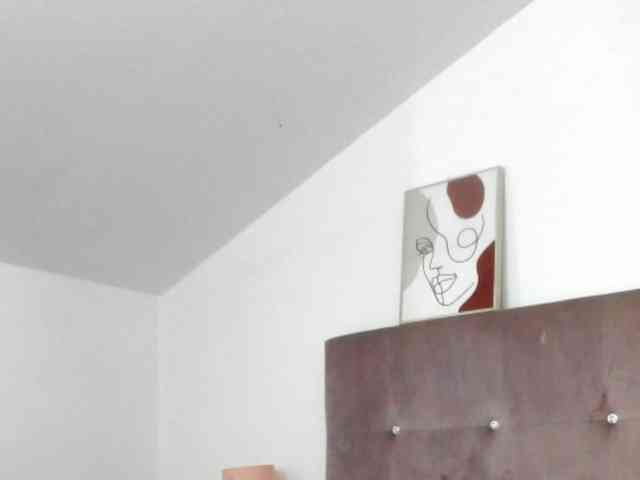 brianaflynt webcam