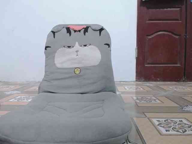 Liana-Mei webcam