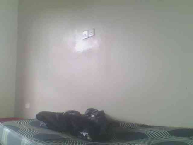 Smilingbeibylove webcam