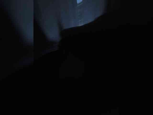 Palmer404 webcam