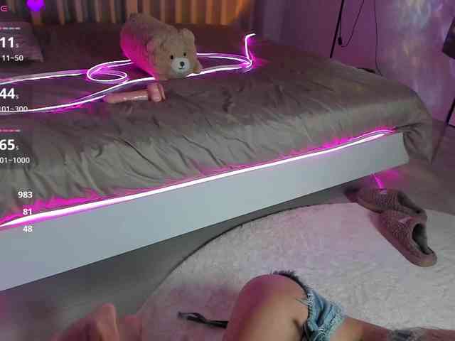 fr_forever webcam