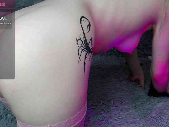 -Kitten- webcam