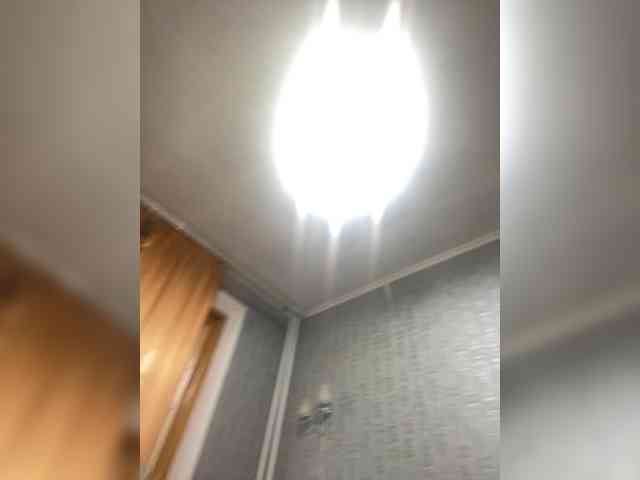 MissTemperament webcam