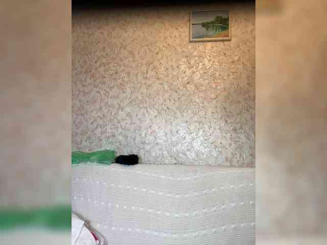 Barbara_milf webcam
