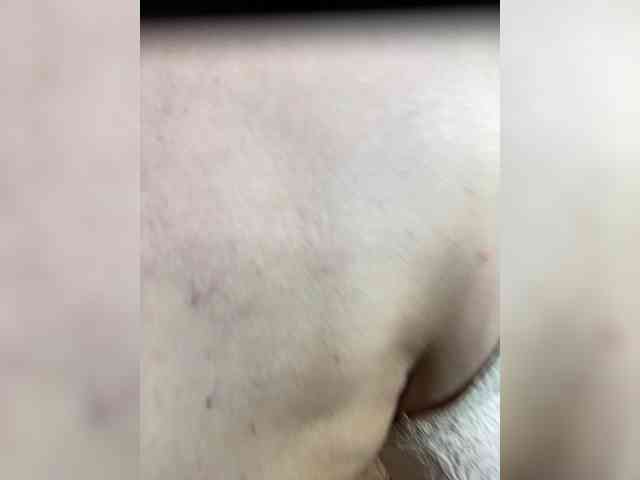 Barbara_milf webcam