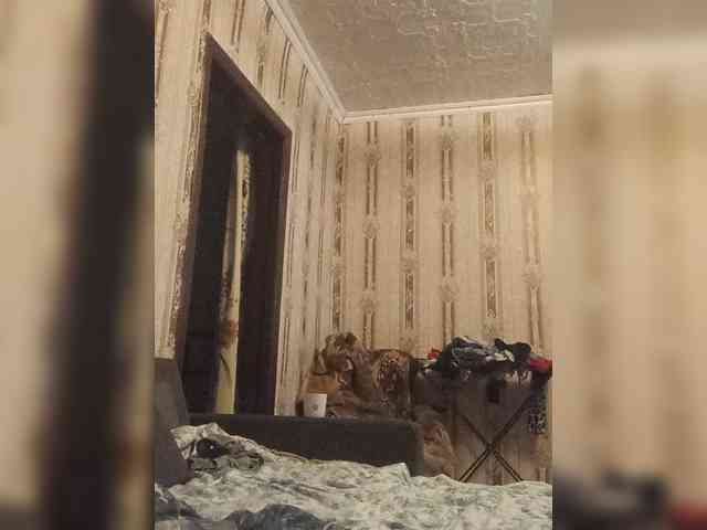 Konfetka228 webcam