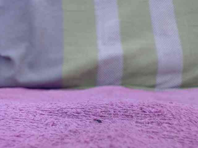 Skinybitchx webcam