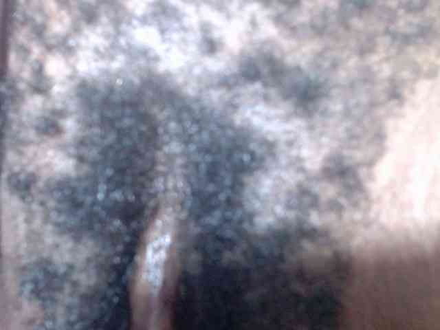 Skinybitchx