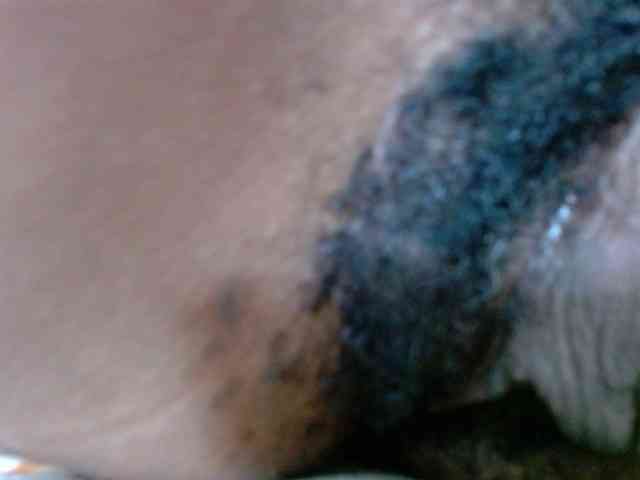 Skinybitchx webcam