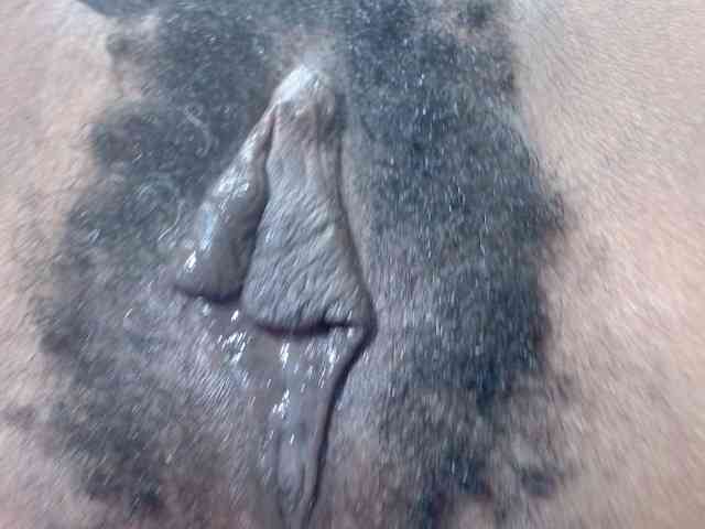 Skinybitchx webcam