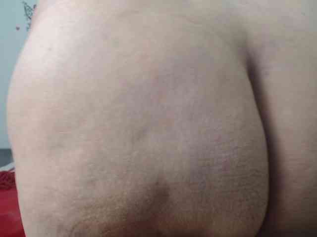 SweetBigCat webcam
