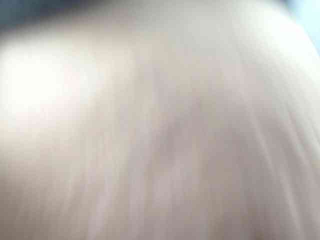 SweetBigCat webcam