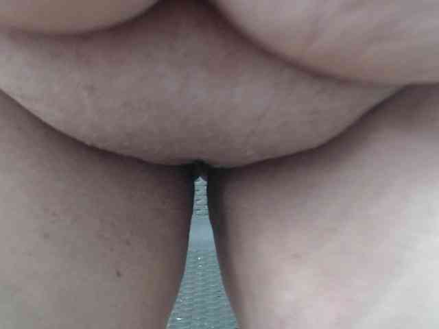 SweetBigCat