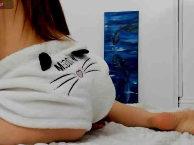 xkartist webcam