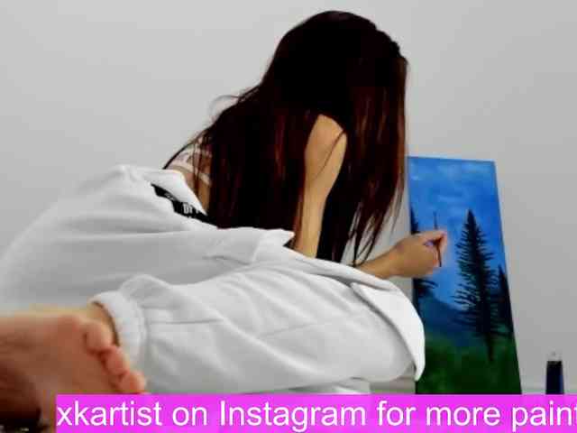 xkartist webcam