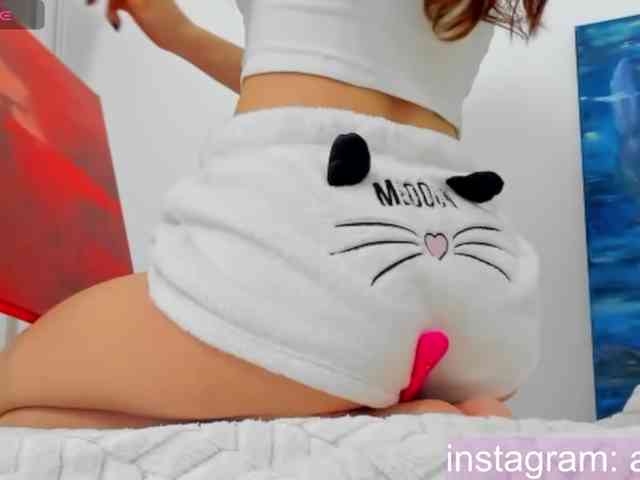 xkartist webcam
