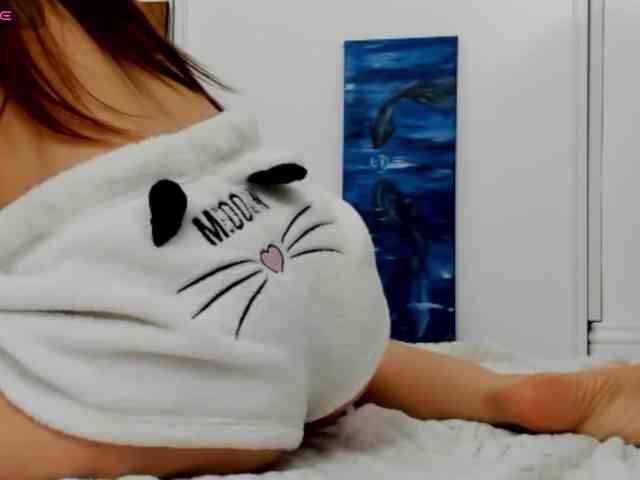 xkartist webcam