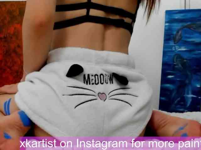xkartist webcam