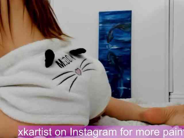 xkartist webcam