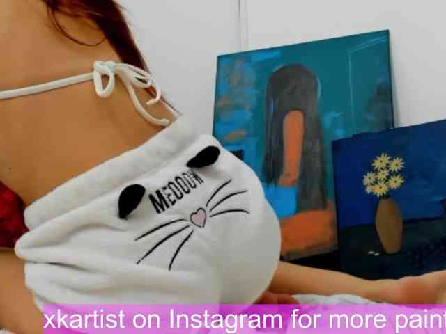 xkartist webcam