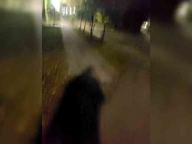 maksim95321