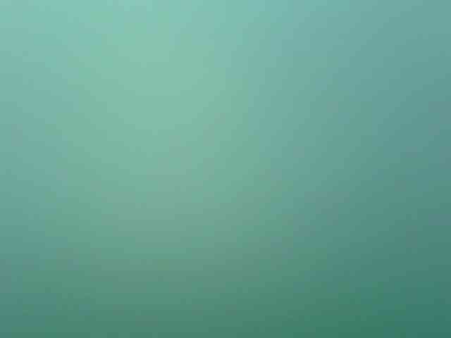 chat sex Missfoster