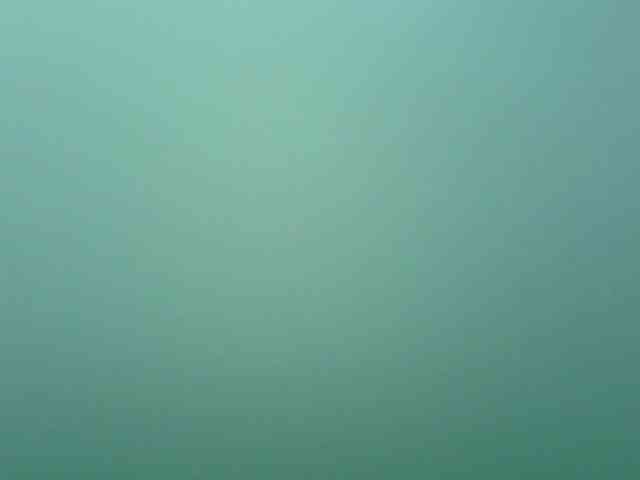 missfoster webcam