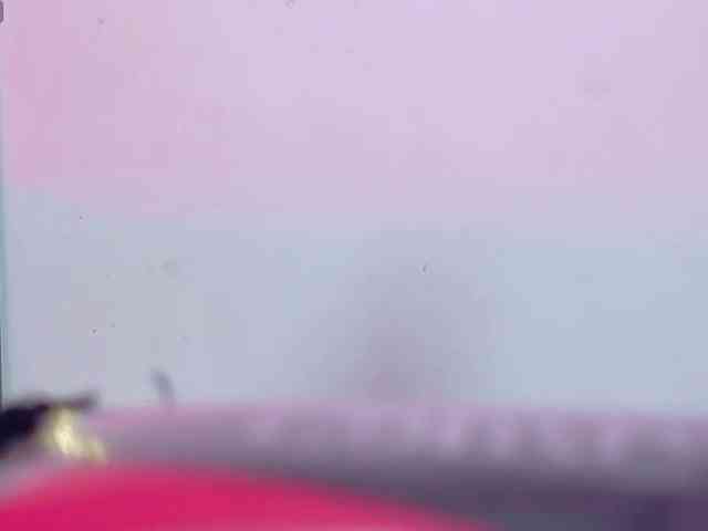 missfoster webcam