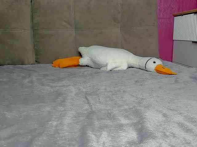 imangrybird