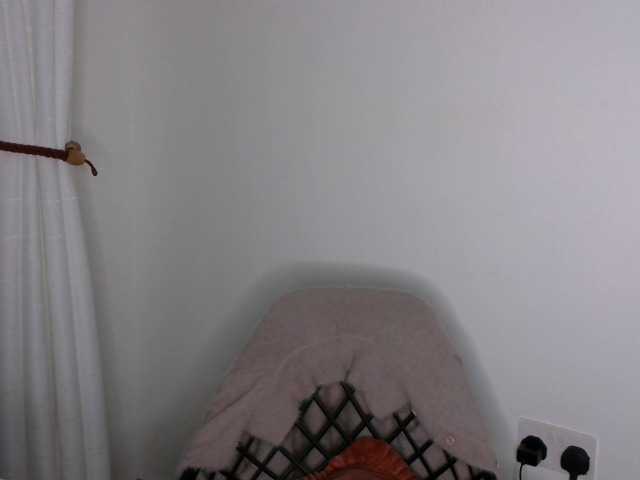 Brianna-1 live cam on BongaCams