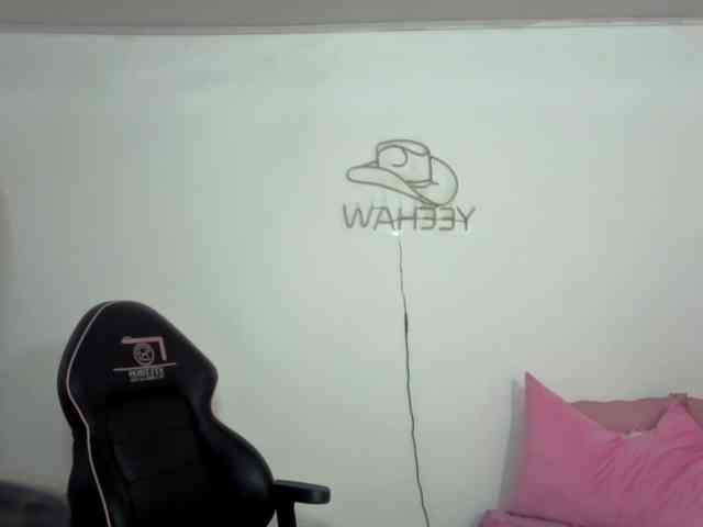 Isabela-tay webcam