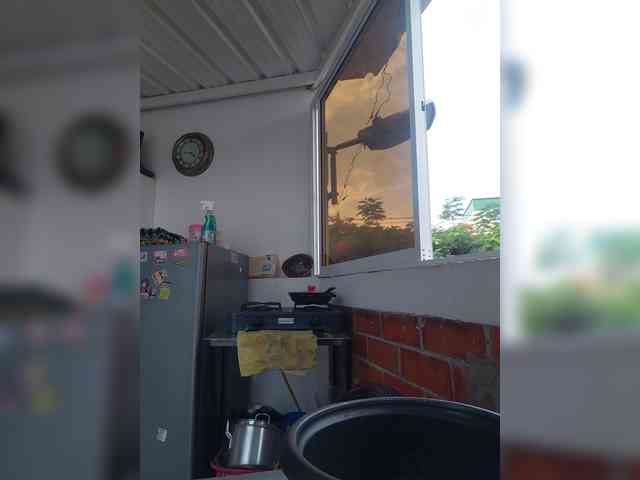 AmyJoness1 webcam