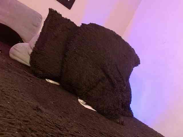 AlexaKim webcam