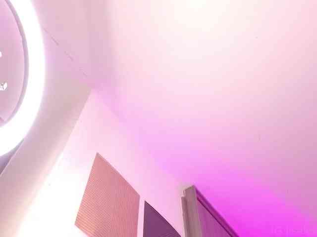AlexaKim webcam