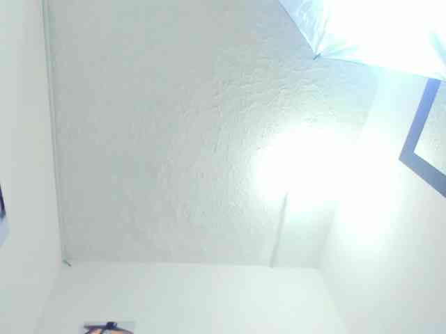 Agata-Wishx webcam