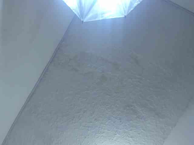 Agata-Wishx webcam