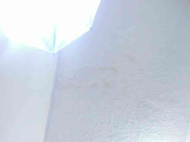 Agata-Wishx webcam