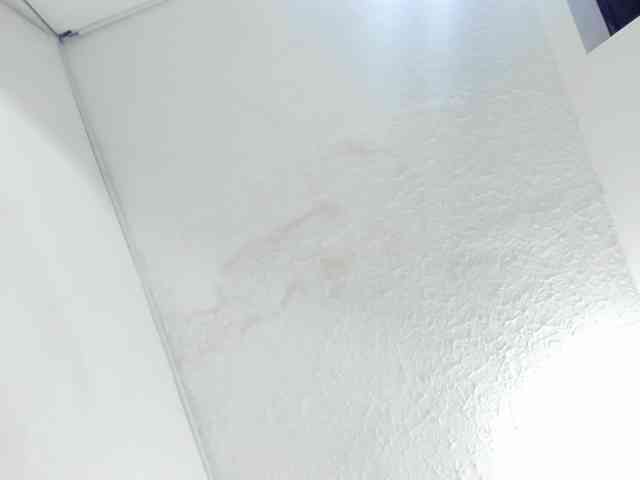 Agata-Wishx webcam