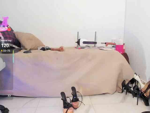 EmaWright webcam