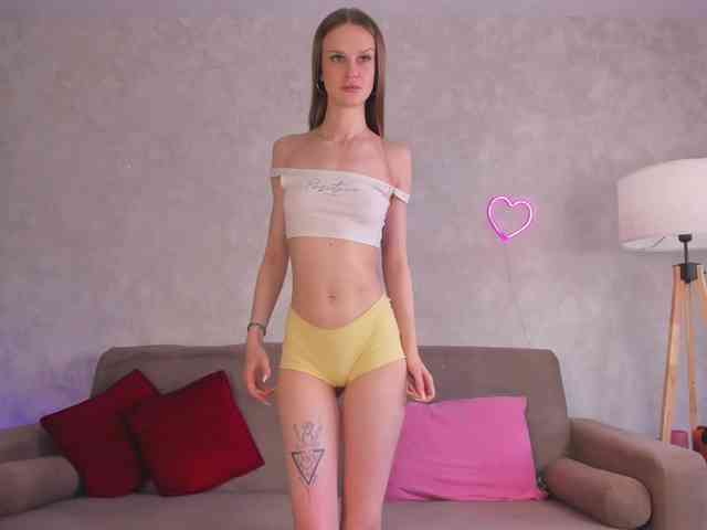 emmisun webcam