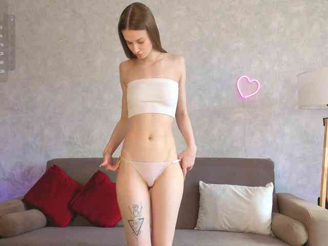 emmisun webcam