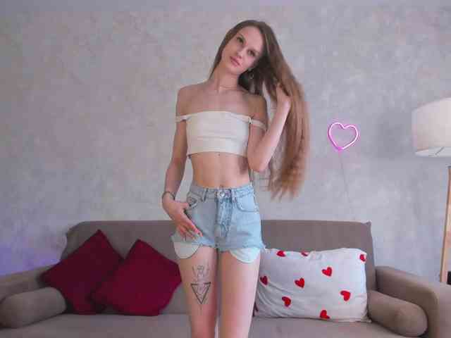 emmisun webcam
