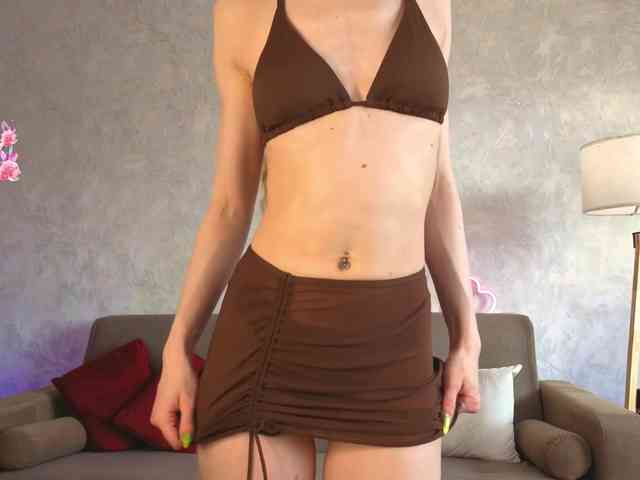 emmisun webcam