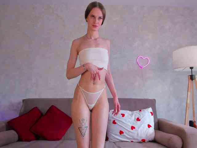emmisun webcam