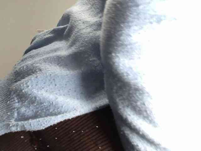 CreamyBum webcam