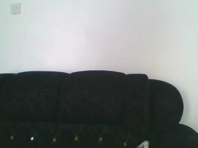 Sexydavinah live cam on BongaCams