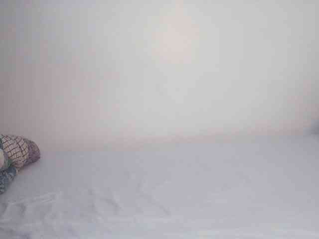 Sexydavinah webcam