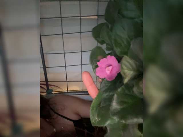 Ajara_Gujuu