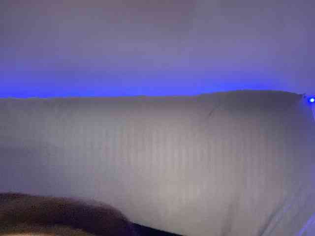 VikaSpace webcam